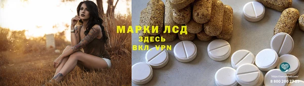 ГАЛЛЮЦИНОГЕННЫЕ ГРИБЫ Кодинск