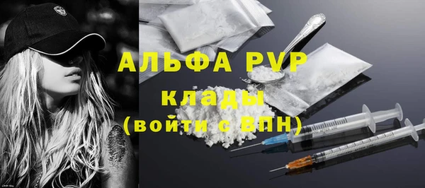 ГАЛЛЮЦИНОГЕННЫЕ ГРИБЫ Кодинск