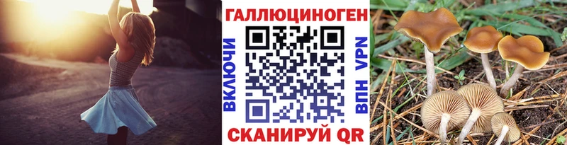 Псилоцибиновые грибы GOLDEN TEACHER  Карпинск 